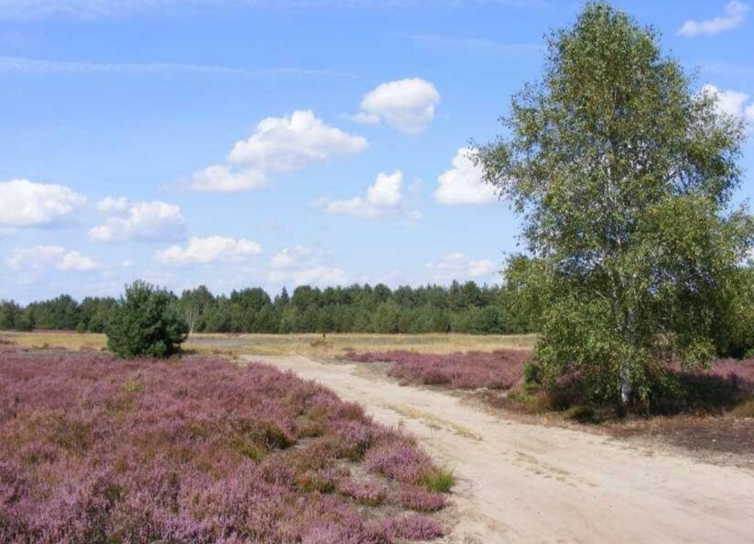 Chalet Schoonhoeve Schoonloo エクステリア 写真